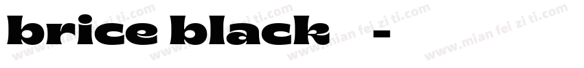 brice black字体下载字体转换
